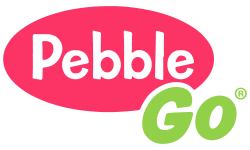 Pebble Go