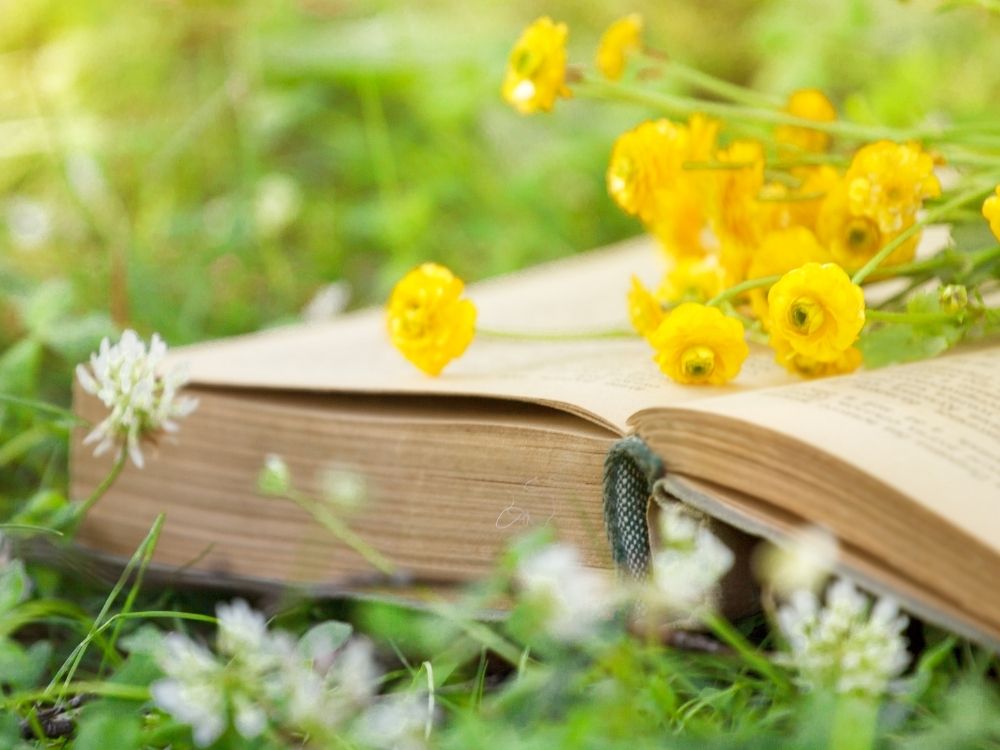 open book with yellow flowers