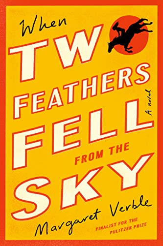 When Two Feathers Fell from the Sky Book Cover